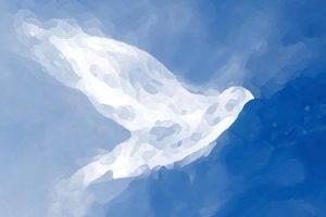 featured-default-780x300