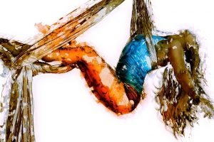 cirque du soleil portage