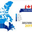 Infography overdose crisis canada