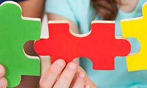 Integrated Services Delivery