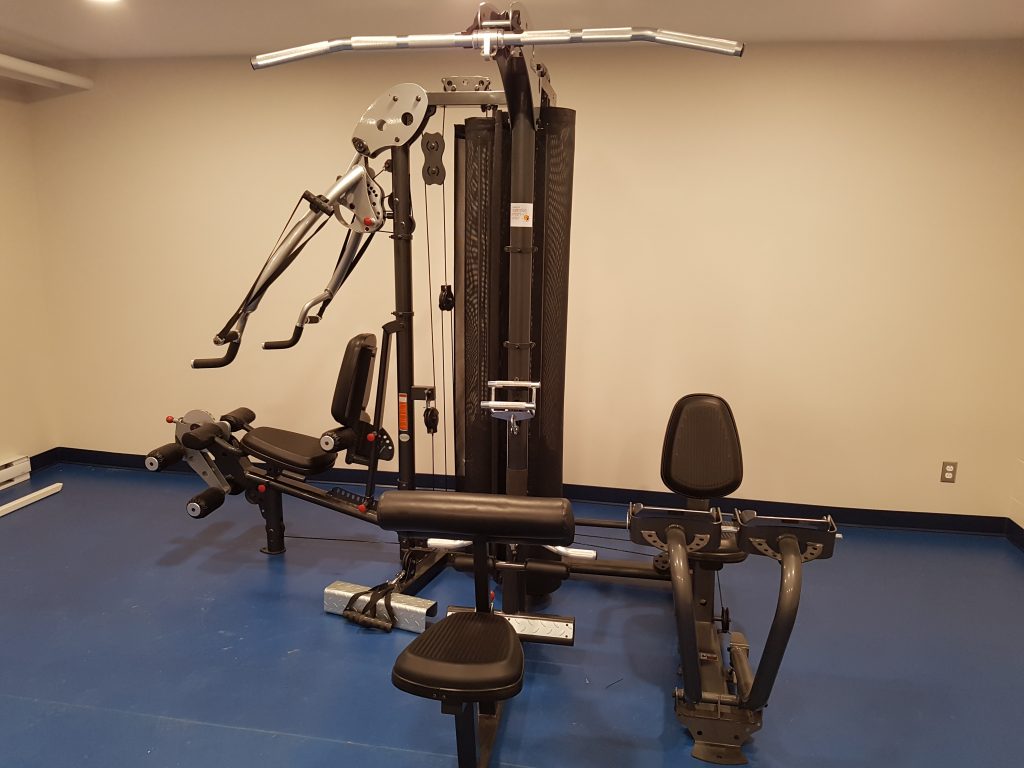 Sports and Rehabilitation New Gym Equipment for Youth at the Portage