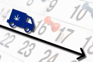 legalisation cannabis