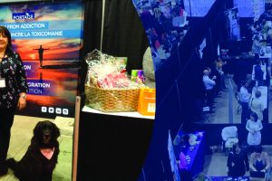 Creating awerness img