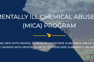 Mentally Ill Chemical Abusers
