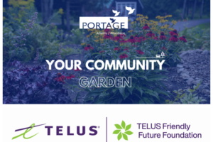 YCG and Telus - EN
