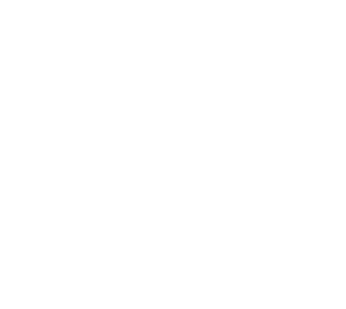 Logo oiseau Blanc_fond transparent