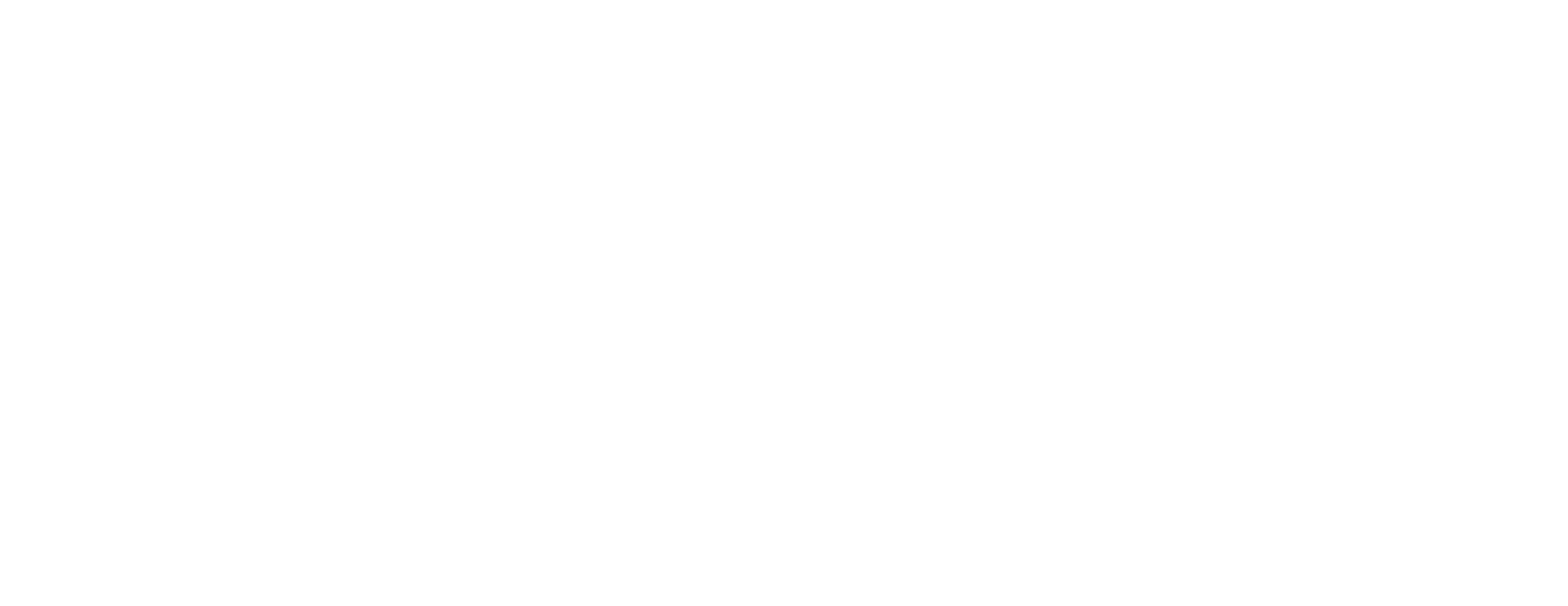 RBC_Platine RBC_Platine