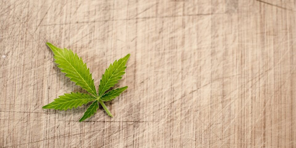 légalisation cannabis